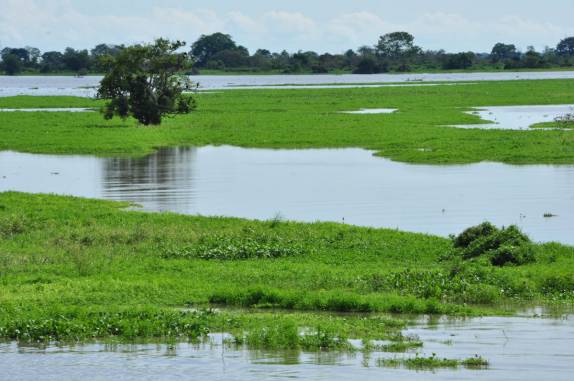 A linda paisagem na viagem de ferry sobre o Rio Magdalena, em Mompós - Colômbia